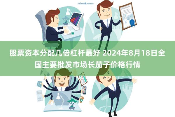 股票资本分配几倍杠杆最好 2024年8月18日全国主要批发市场长茄子价格行情