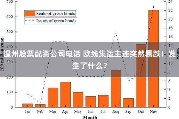 温州股票配资公司电话 欧线集运主连突然暴跌！发生了什么？