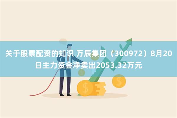 关于股票配资的知识 万辰集团（300972）8月20日主力资金净卖出2053.32万元