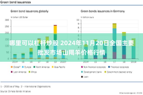 哪里可以杠杆炒股 2024年11月20日全国主要批发市场山羯羊价格行情