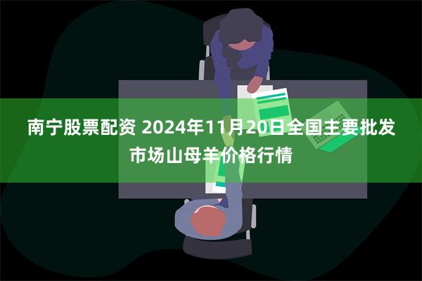 南宁股票配资 2024年11月20日全国主要批发市场山母羊价格行情