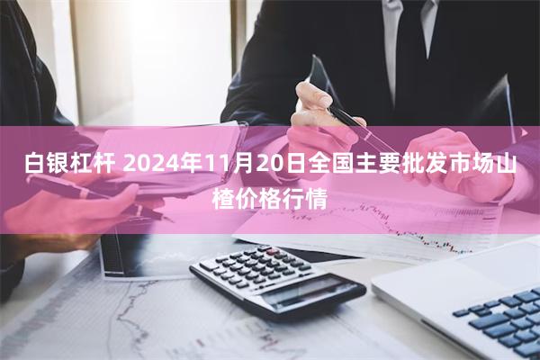 白银杠杆 2024年11月20日全国主要批发市场山楂价格行情