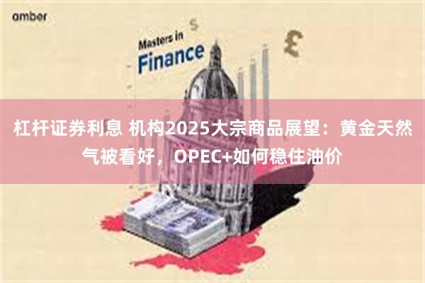 杠杆证券利息 机构2025大宗商品展望：黄金天然气被看好，OPEC+如何稳住油价