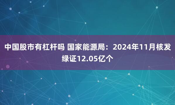 中国股市有杠杆吗 国家能源局：2024年11月核发绿证12.05亿个