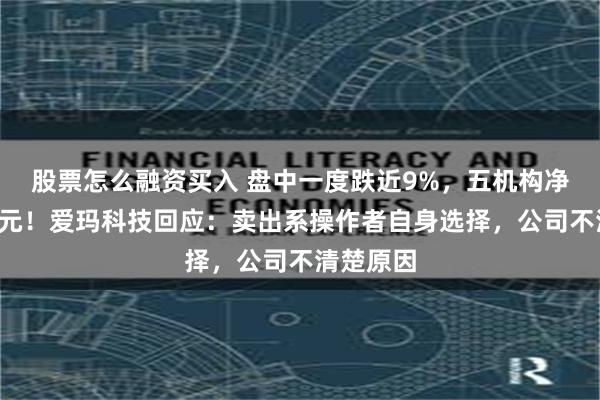 股票怎么融资买入 盘中一度跌近9%，五机构净卖出2亿元！爱玛科技回应：卖出系操作者自身选择，公司不清楚原因