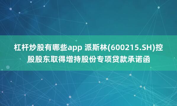 杠杆炒股有哪些app 派斯林(600215.SH)控股股东取得增持股份专项贷款承诺函